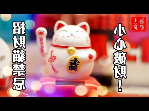 風水 猫